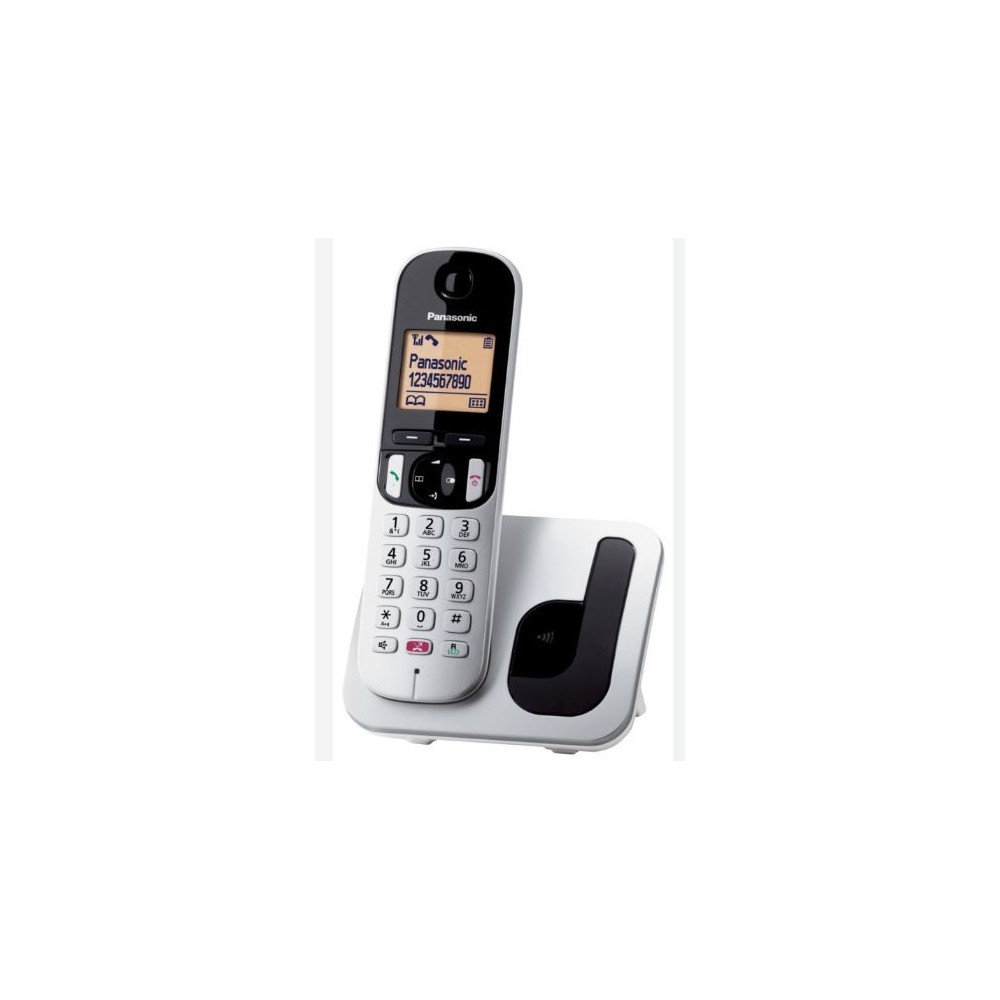 CORDLESS PANASONIC KX-TGC250JTS SILVER